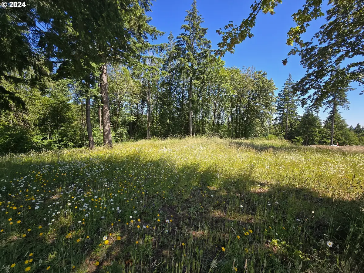 0 Olivia Ln #X, Kalama, WA 98625 - #1