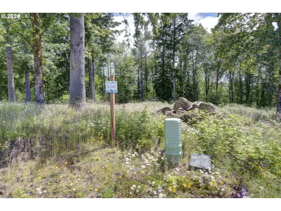 0 Olivia Ln #X, Kalama, WA 98625 - #2