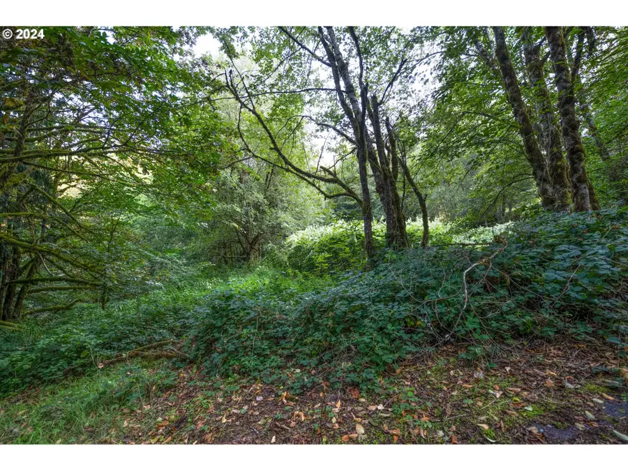 593 Coal Creek Rd, Longview, WA 98632 - Image #3