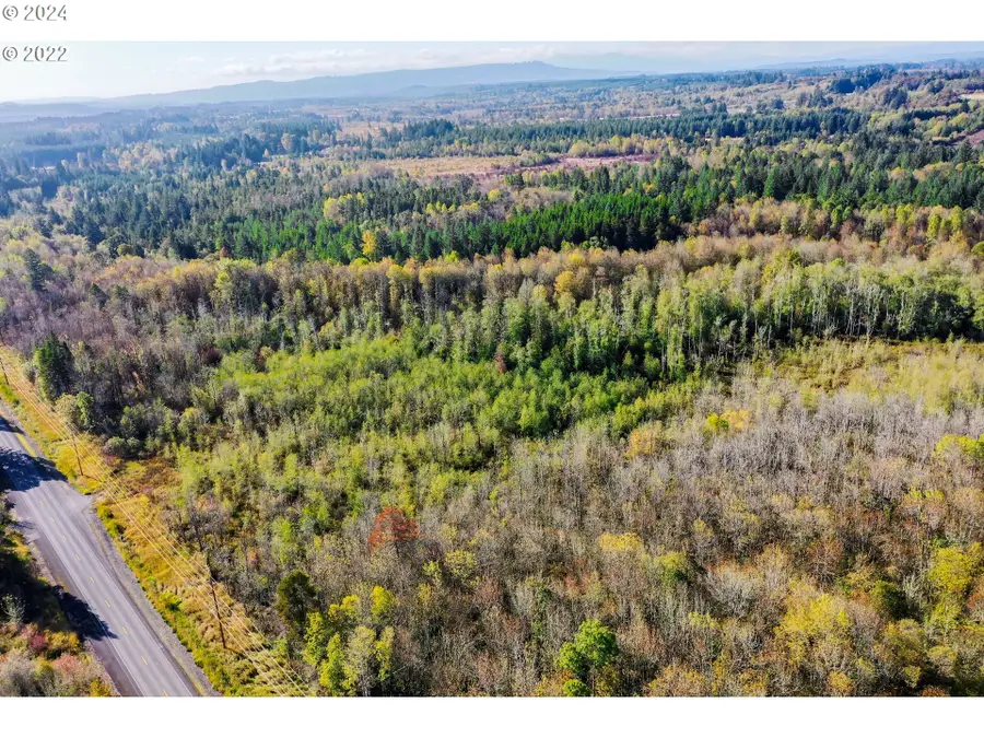 0 Henriot Rd, Winlock, WA 98596 - Image #3