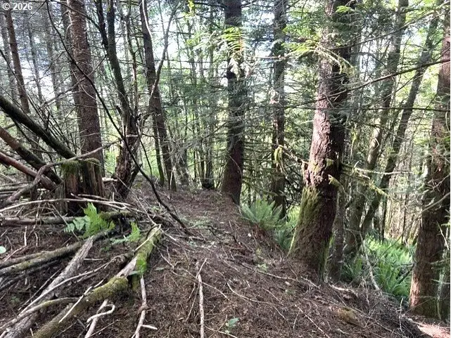 West Tunnel, Banks, OR 97106 - #1