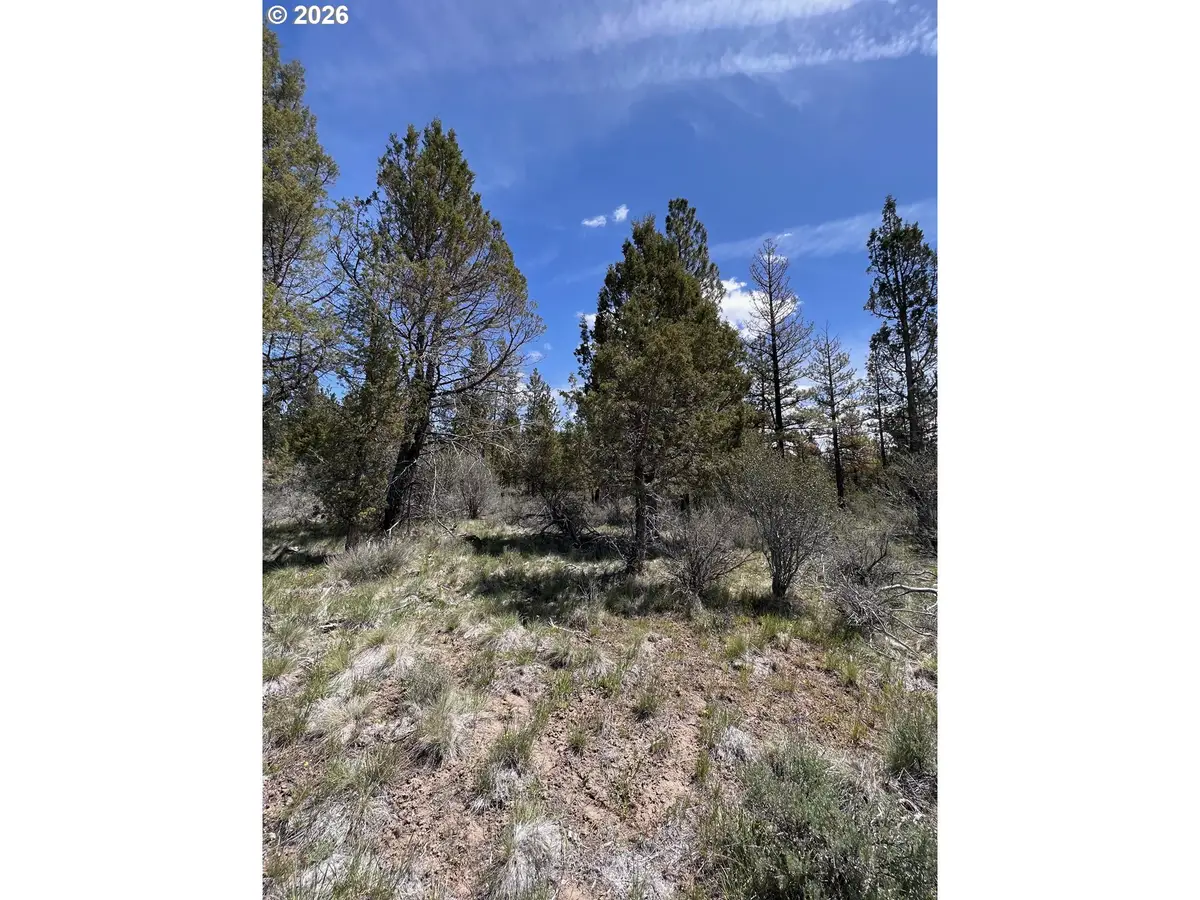 15 Glendale Ln, Beatty, OR 97621 - #1