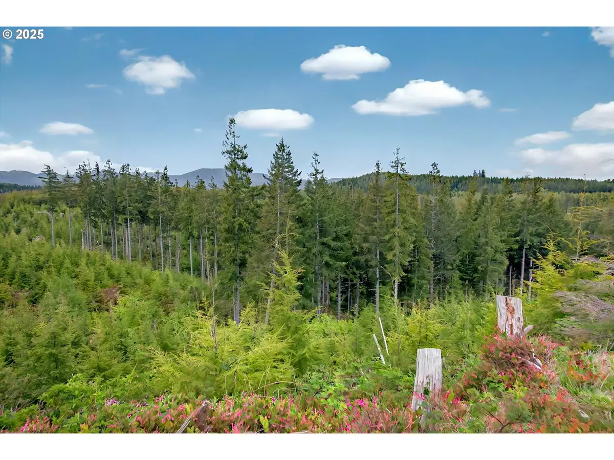 4 Parpala Rd #4, Naselle, WA 98638 - Image #1