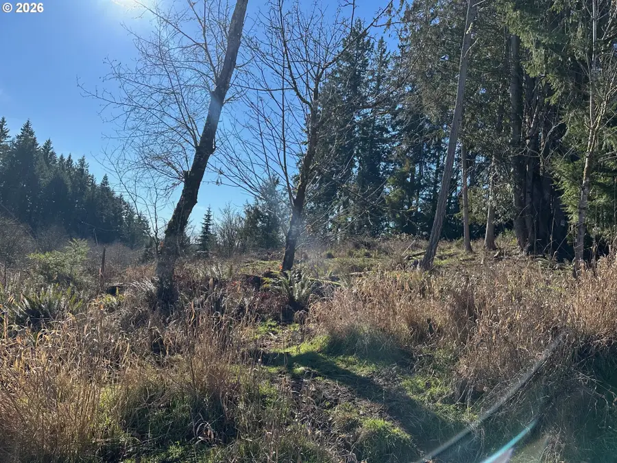 165 E G St, Vernonia, OR 97064 - #3