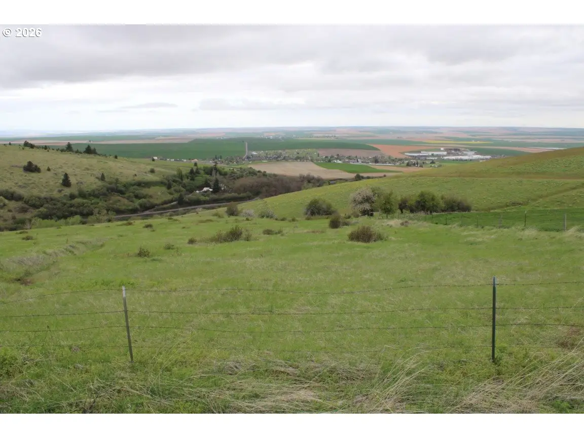 52823 Kirk Rd, Weston, OR 97886 - #1