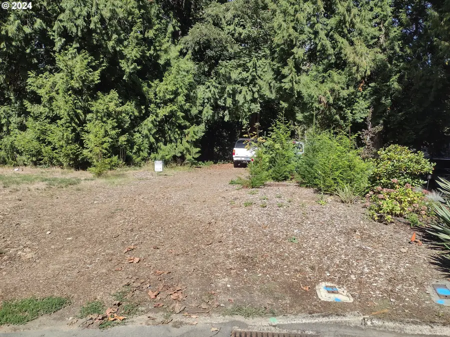 SE 59th Ct, Hillsboro, OR 97123 - Image #3