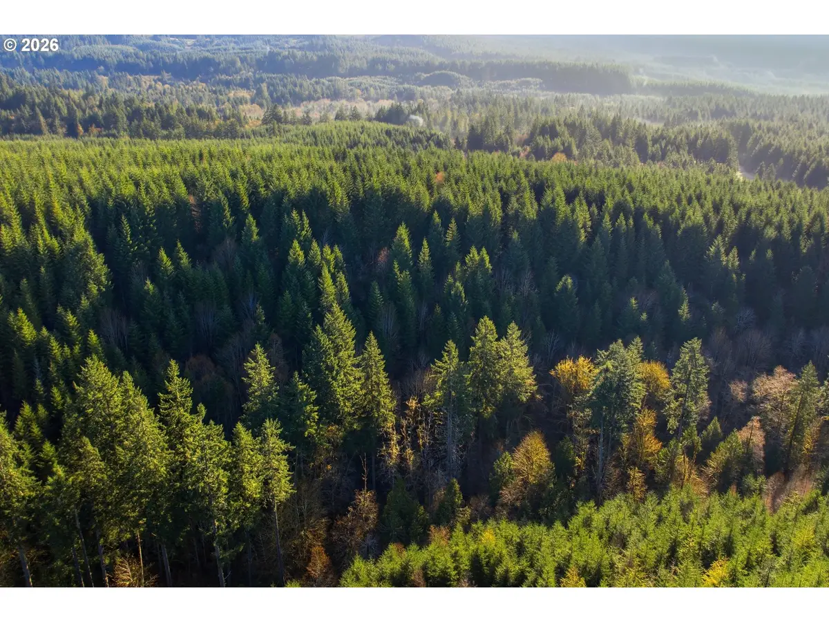 Nowakowski Rd, Banks, OR 97106 - #1