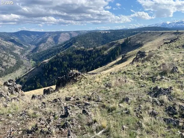 1 Armin Rd, Joseph, OR 97846