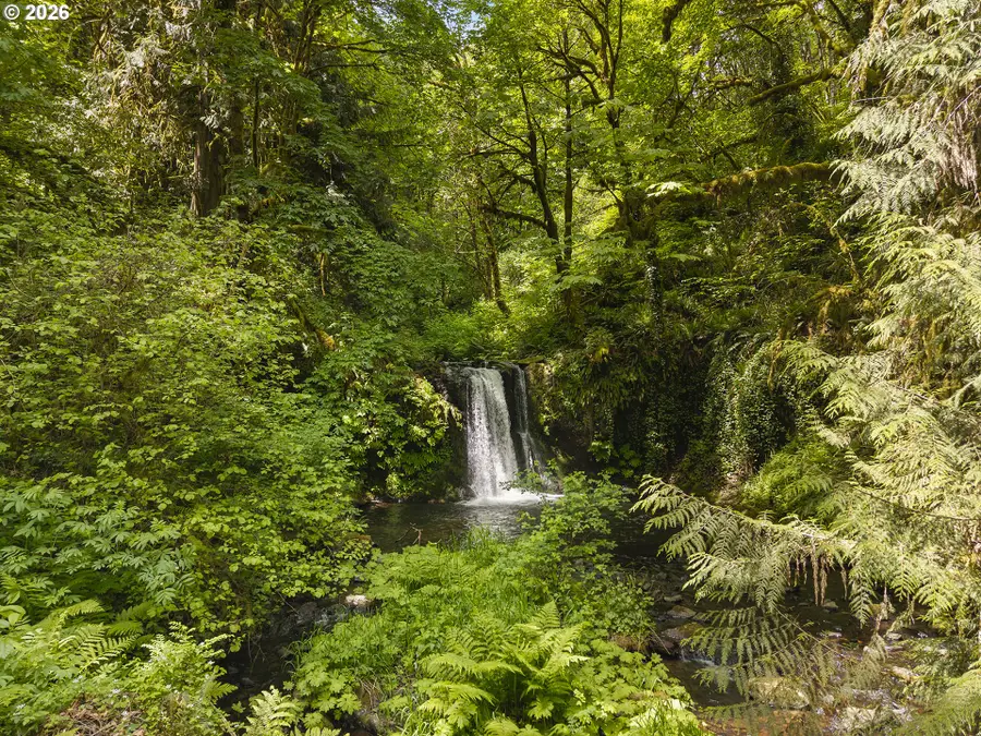 Hwy 30, Clatskanie, OR 97016 - #2