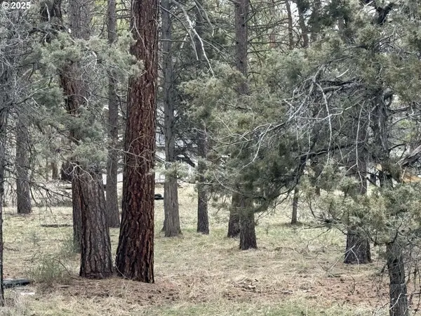 Spoonbill Dr #L 57, Bonanza, OR 97623