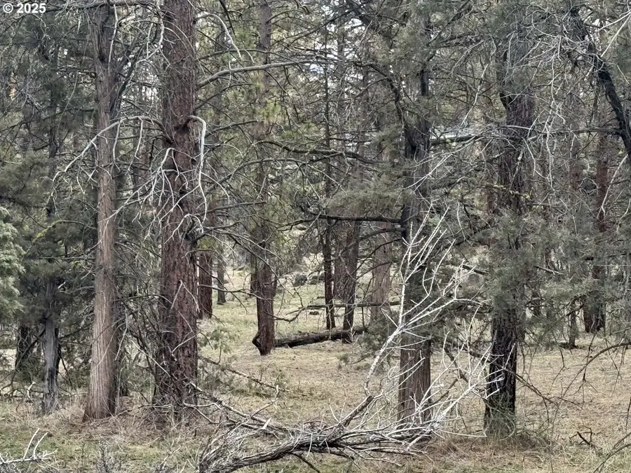 Spoonbill Dr #L 57, Bonanza, OR 97623 - Image #2