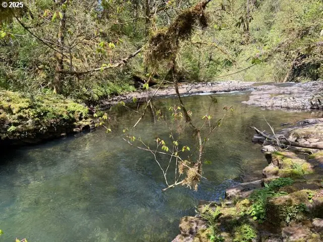 0 NE Crooked Finger Rd, Scotts Mills, OR 97375 - Image #3