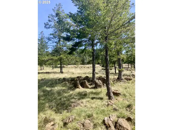 95645 Spirit Ridge Rd, GoldBeach, OR 97444