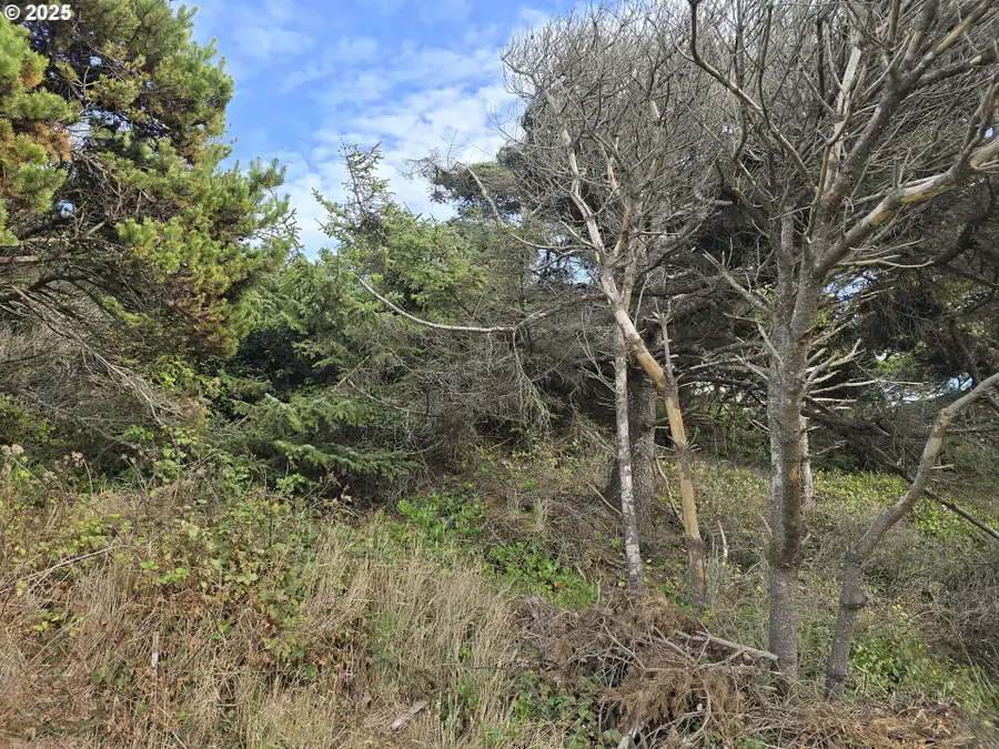 0 Lookout St #1, Florence, OR 97439 - Image #2