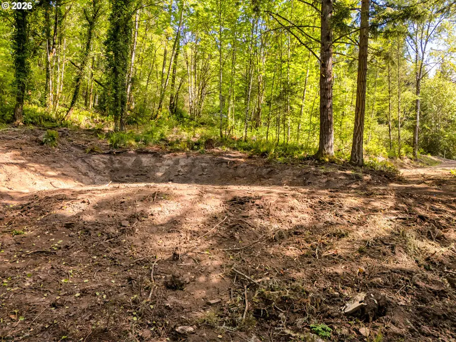 147 Old Spreadborough Rd, Kalama, WA 98625 - #2