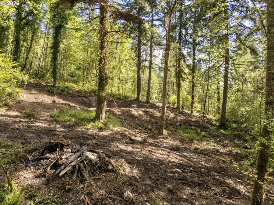 147 Old Spreadborough Rd, Kalama, WA 98625 - #3