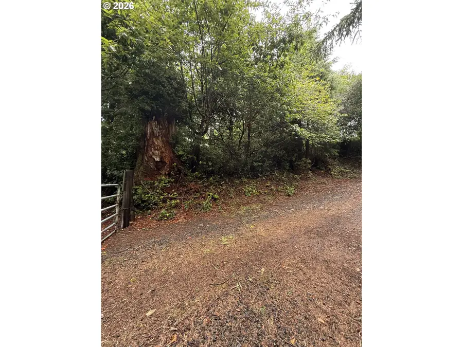 S Terrace Dr, Rockaway Beach, OR 97136 - #3