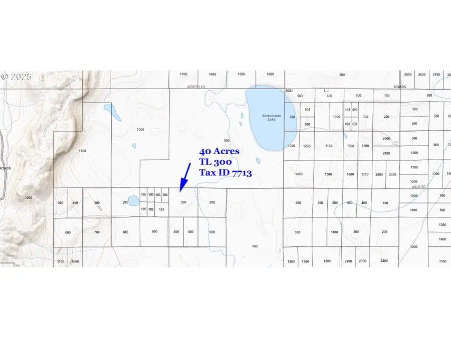 Oil Dri Road #TL 300, Silver Lake Fort Rock, OR 97638 - #3