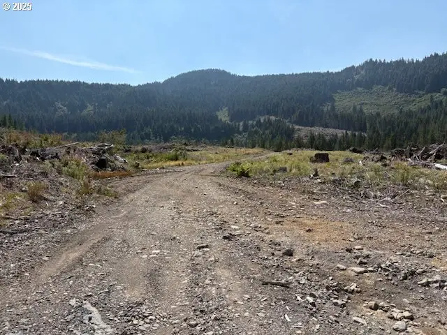 000 Thomas Creek Dr #(160), Scio, OR 97374 - Image #3