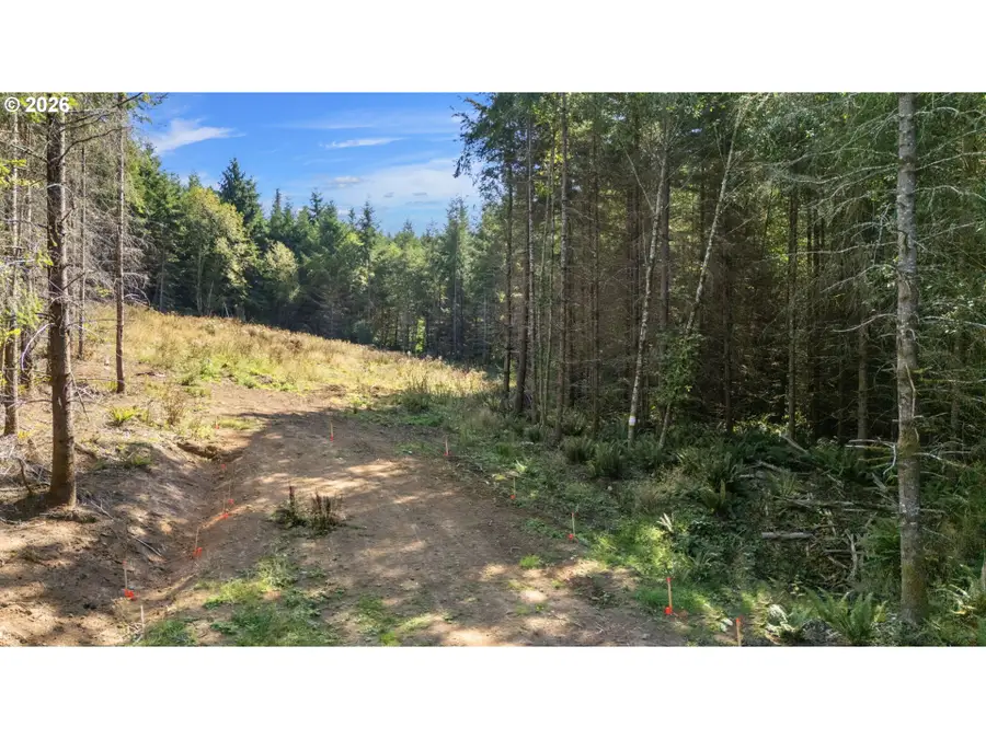 0 Thimbleberry Dr, Rose Valley, WA 98611 - #3