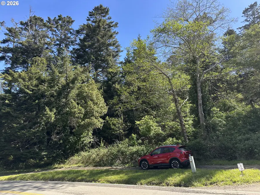 Hillside Acres Rd, Nesika Beach, OR 97444 - #2