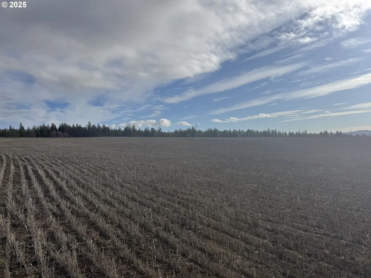 Nka Two Mountainview Rd #2, Centerville, WA 98613 - Image #1