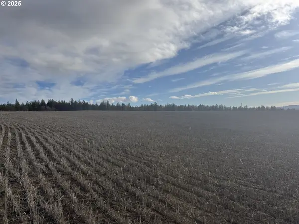 Nka Two Mountainview Rd #2, Centerville, WA 98613