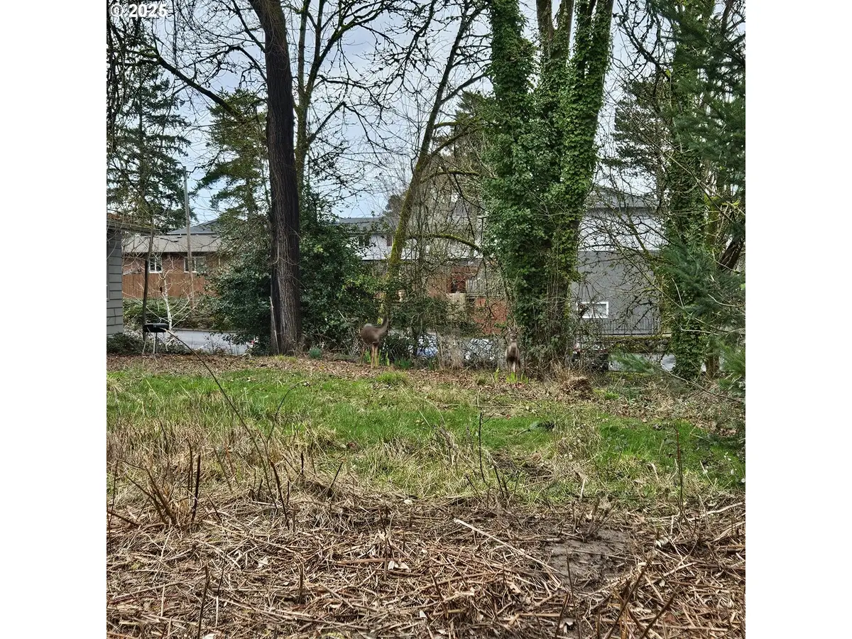 3rd St #3, Newberg, OR 97132 - Image #1