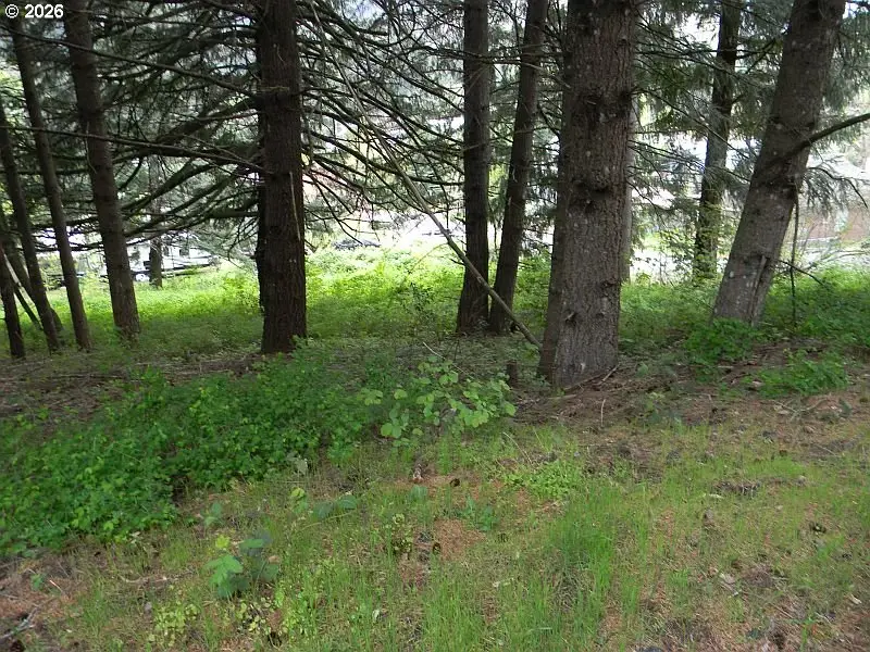 Sophie Ln, Carson, WA 98610 - #2