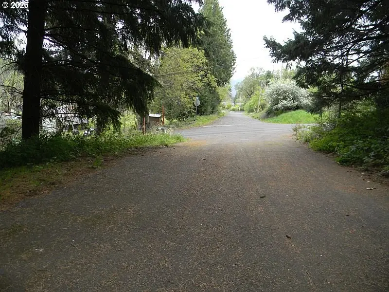 Sophie Ln, Carson, WA 98610 - #3