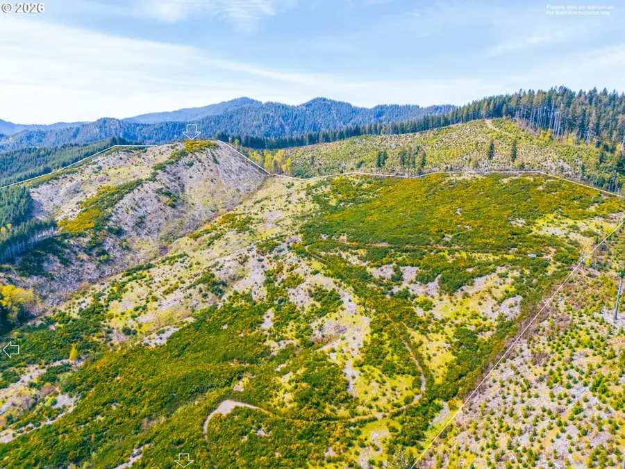 126 Hwy #TL201, Walton, OR 97490 - #2
