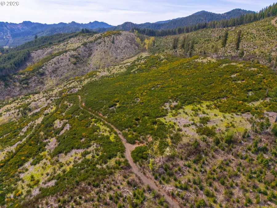 126 Hwy #TL201, Walton, OR 97490 - #3