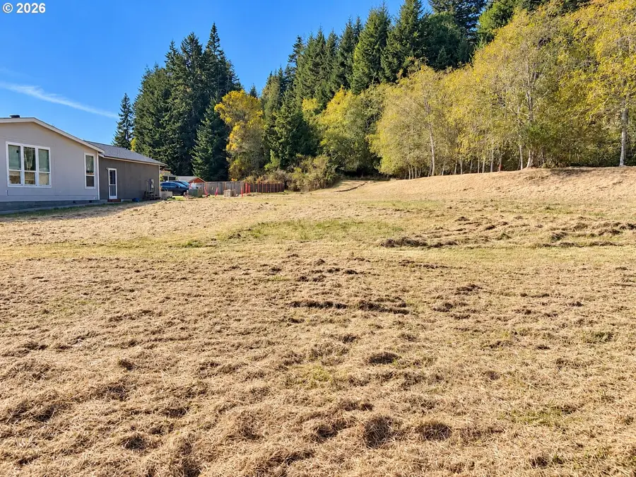 Lakeland Dr, Lakeside, OR 97449 - #3