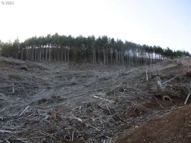 000 Abiqua Dam (small), Silverton, OR 97381 - Image #2