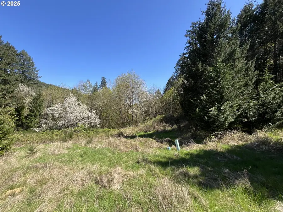 Ns, Forest Grove, OR 97116 - Image #2