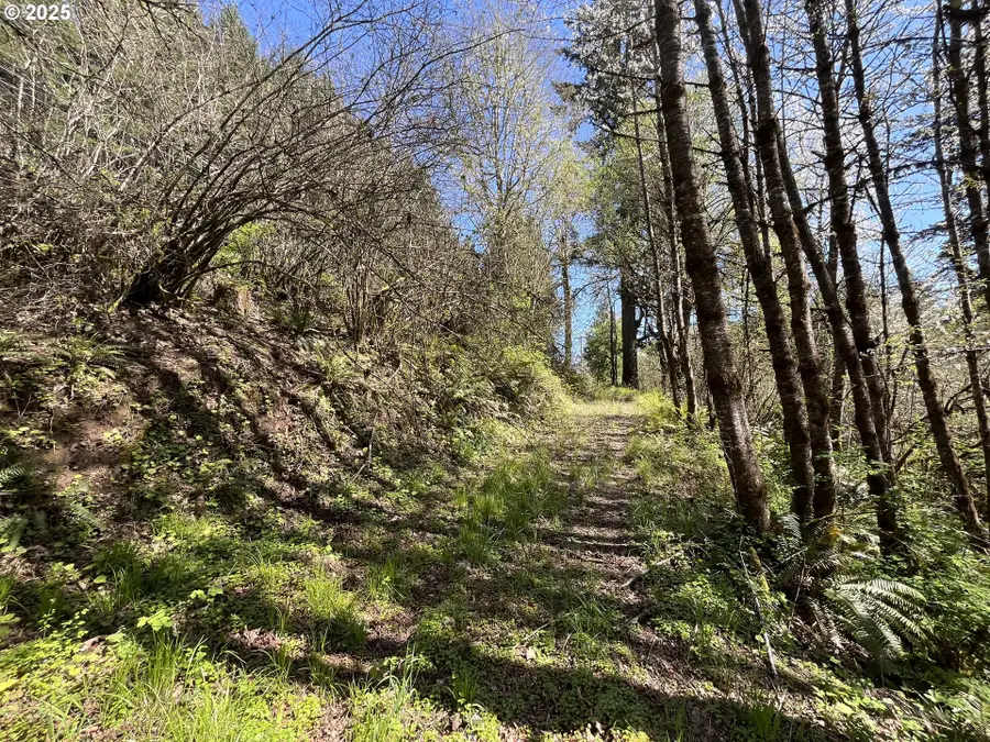 Ns, Forest Grove, OR 97116 - Image #3