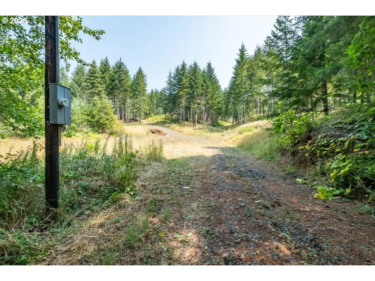 41662 Grover Rd, Blodgett, OR 97326 - #1