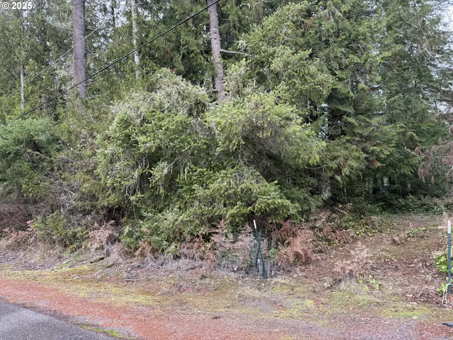 208 Riverview Dr, Castle Rock, WA 98611 - Image #2