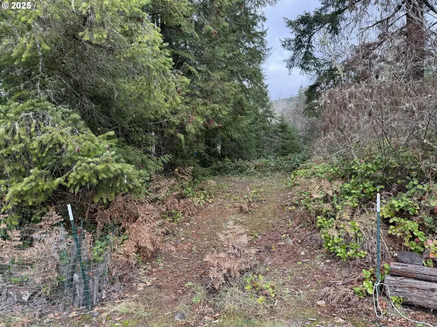 208 Riverview Dr, Castle Rock, WA 98611 - Image #3