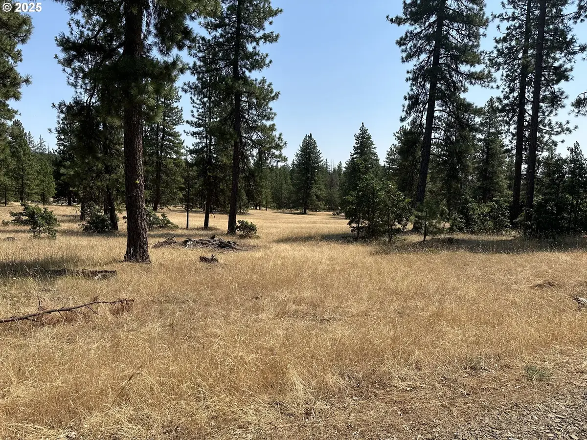 13 Greyback Mtn Rd, Goldendale, WA 98620 - #1