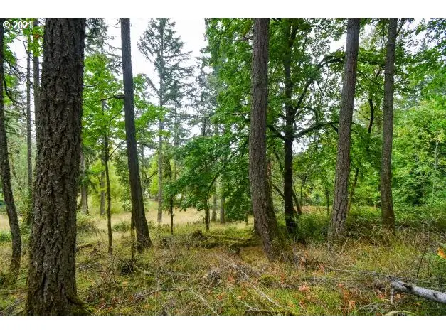 32475 Fox Hollow Rd, Eugene, OR 97405 - #3