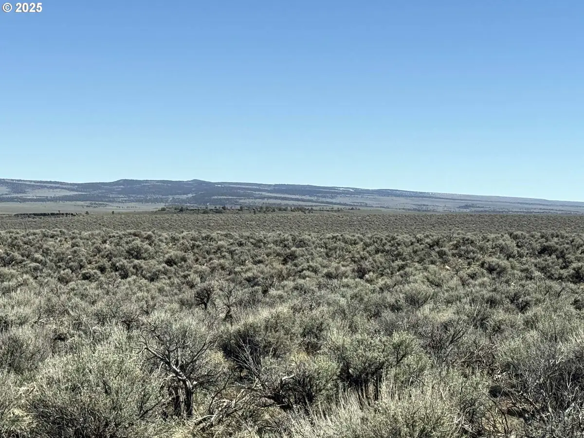 Hogback Rd #TL 100, Plush, OR 97637 - Image #1