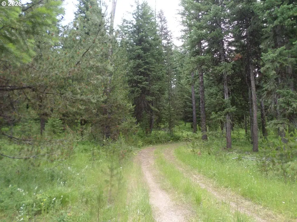 0 Akers Butte Rd, Wallowa, OR 97885 - Image #1