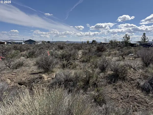 Summer St #3800, ChristmasValley, OR 97641