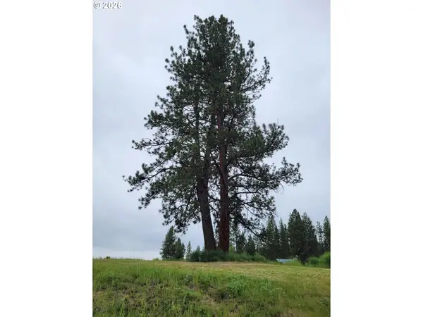 0 Coombs Loop, Starkey, OR 97850