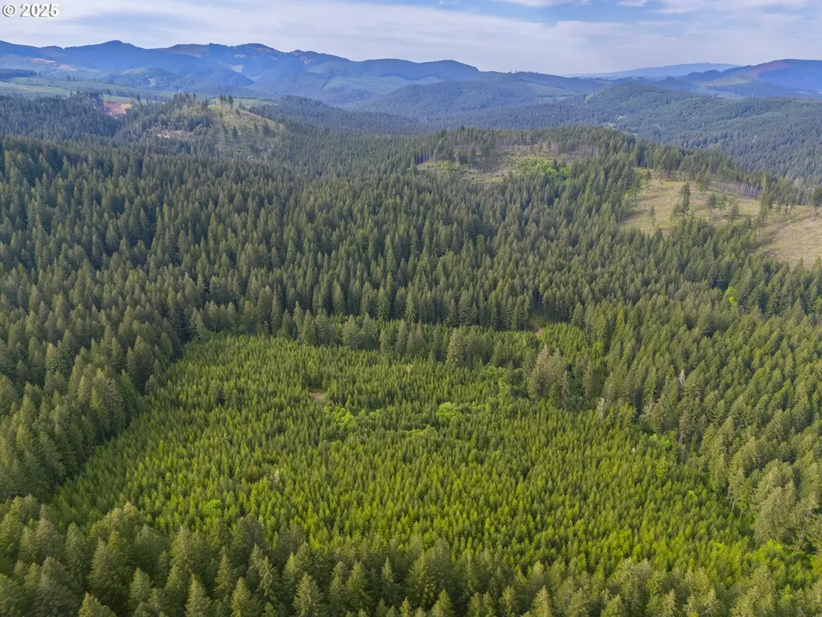 0 Shotgun Creek Rd, Marcola, OR 97454 - Image #1