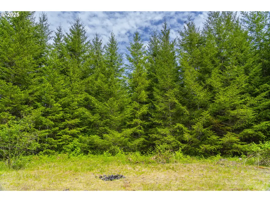 0 Shotgun Creek Rd, Marcola, OR 97454 - Image #2