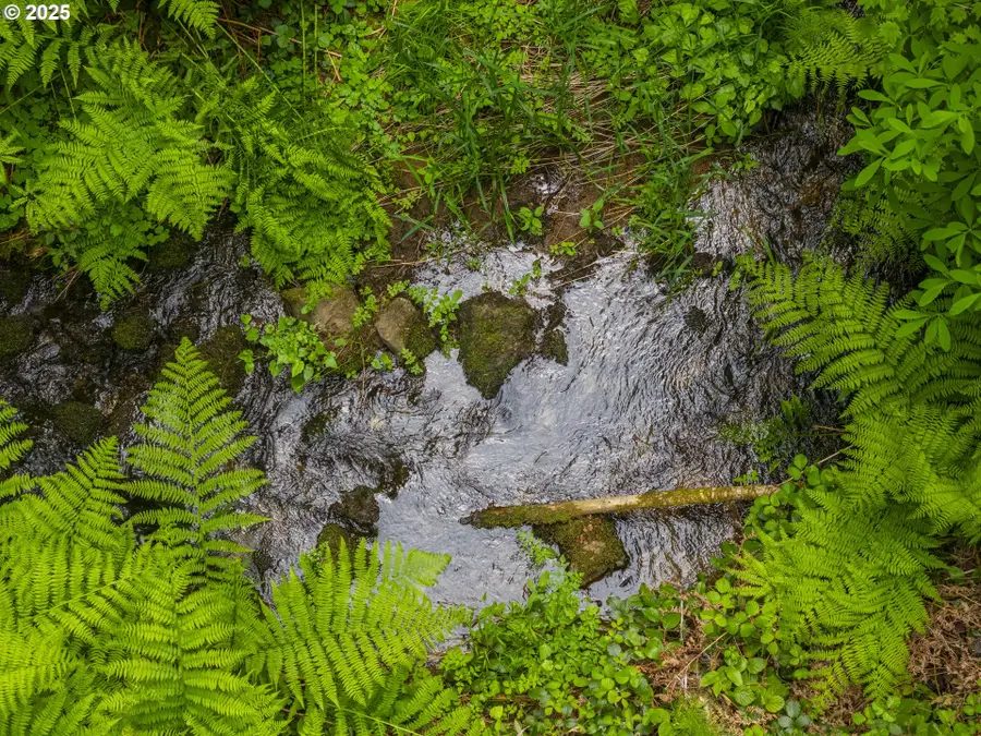 0 Shotgun Creek Rd, Marcola, OR 97454 - Image #3
