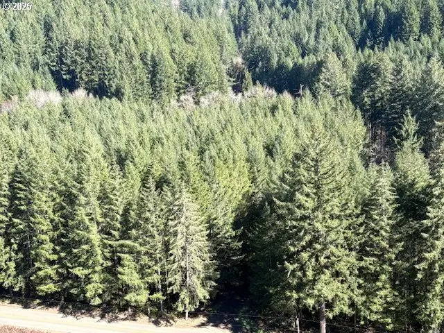 0 Logsden Rd, Blodgett, OR 97326 - Image #3