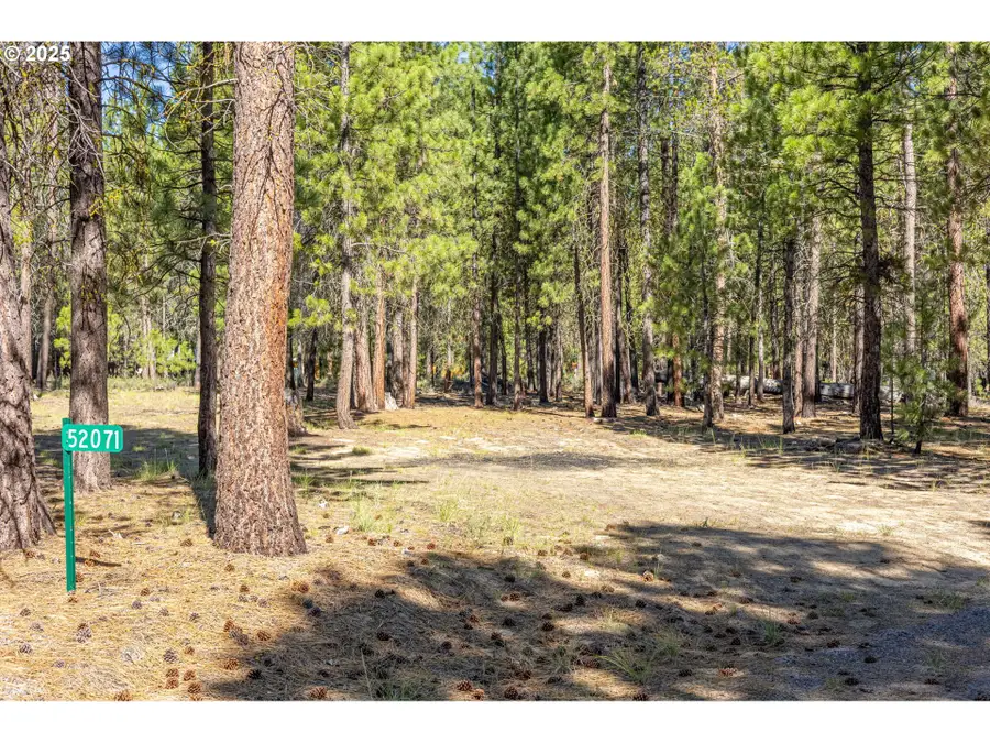 52071 Red Pine, Sisters Millican, OR 97739 - Image #2